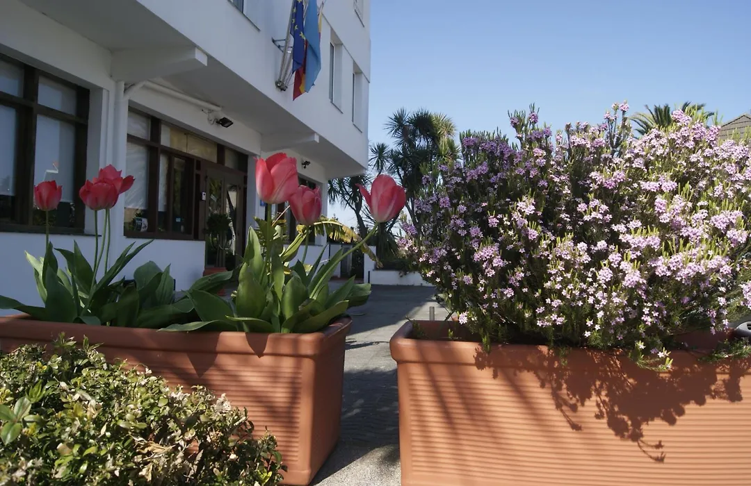 Hotel Los Laureles-1
